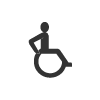 icona_disabili