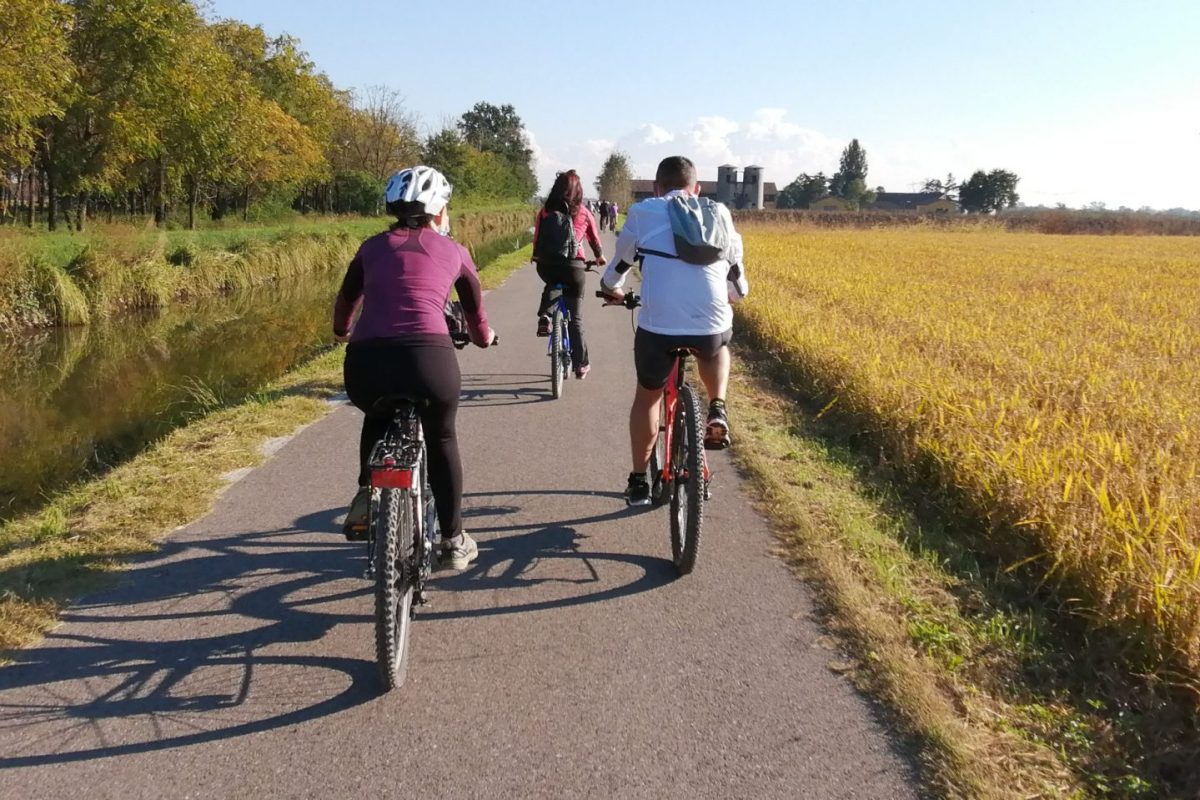 Percorsi nella natura tra Naviglio e Ticino